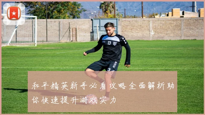 和平精英新手必看攻略全面解析助你快速提升游戏实力