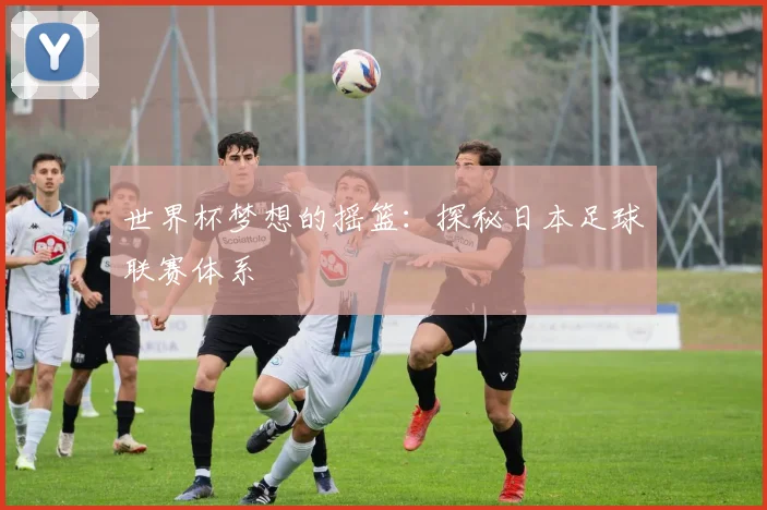 世界杯梦想的摇篮：探秘日本足球联赛体系
