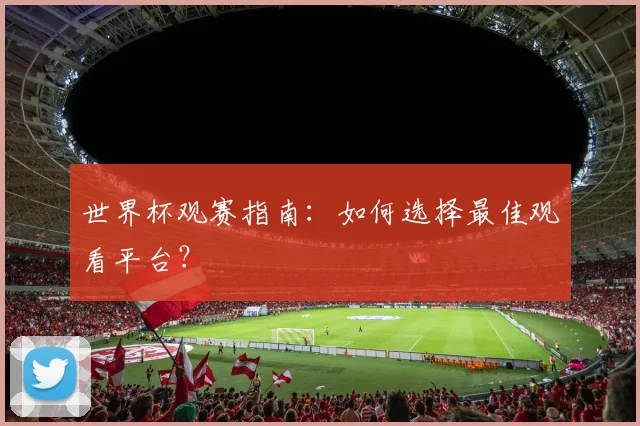 世界杯观赛指南：如何选择最佳观看平台？