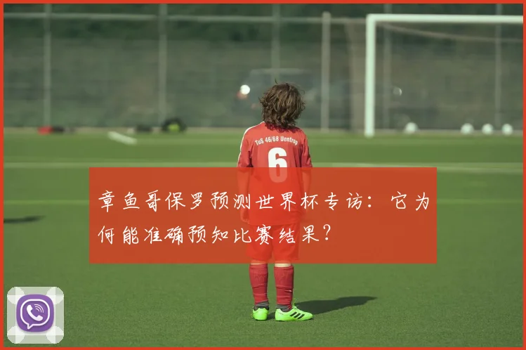 章鱼哥保罗预测世界杯专访：它为何能准确预知比赛结果？
