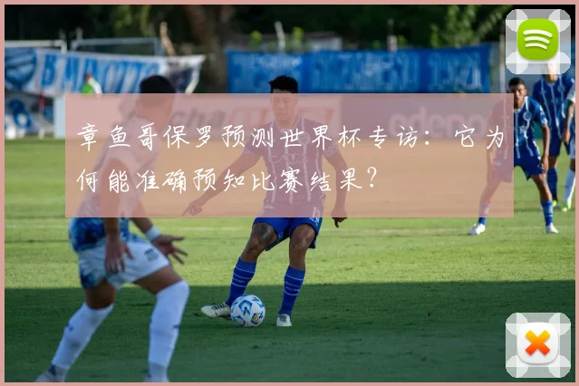 章鱼哥保罗预测世界杯专访：它为何能准确预知比赛结果？