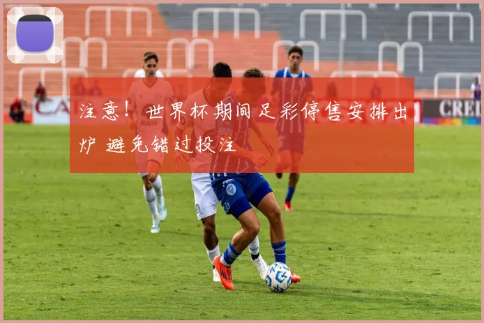 注意!世界杯期间足彩停售安排出炉 避免错过投注