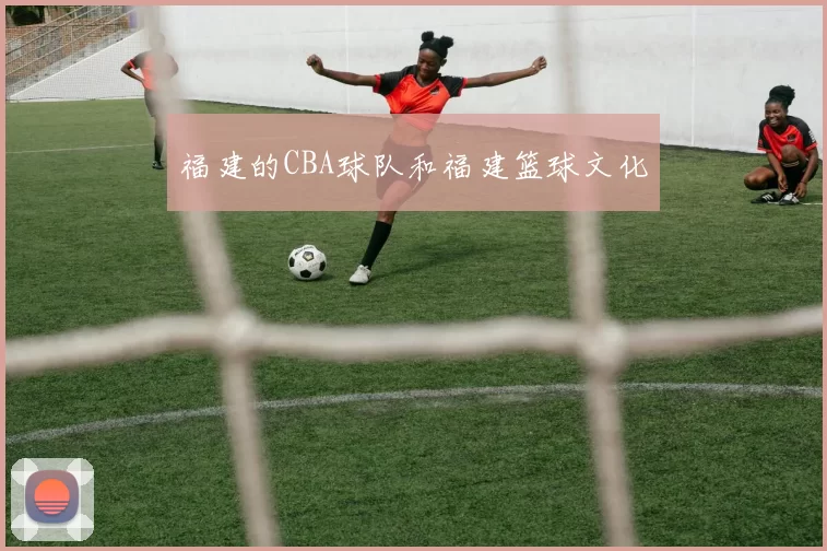 福建的CBA球队和福建篮球文化