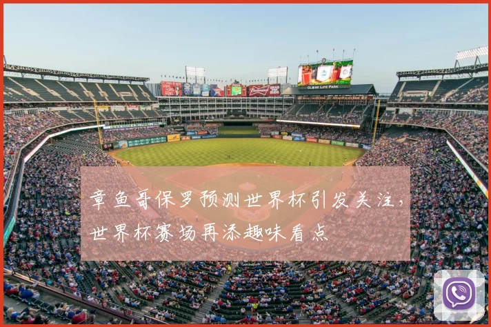 章鱼哥保罗预测世界杯引发关注，世界杯赛场再添趣味看点