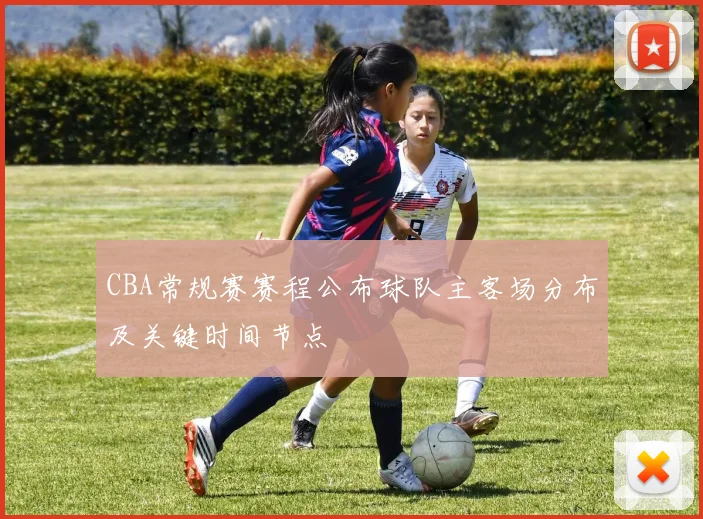 CBA常规赛赛程公布球队主客场分布及关键时间节点