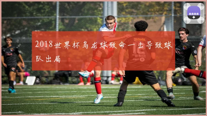 2018世界杯乌龙球致命一击导致球队出局