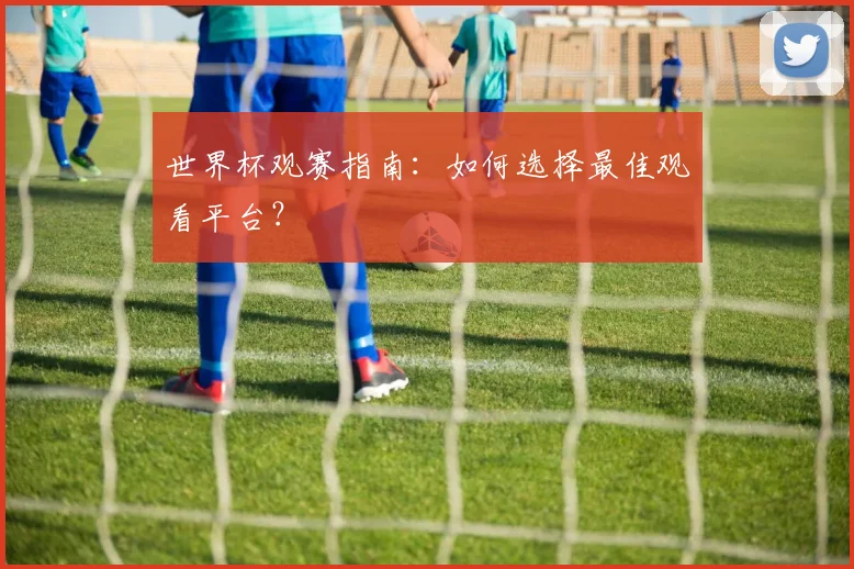 世界杯观赛指南：如何选择最佳观看平台？