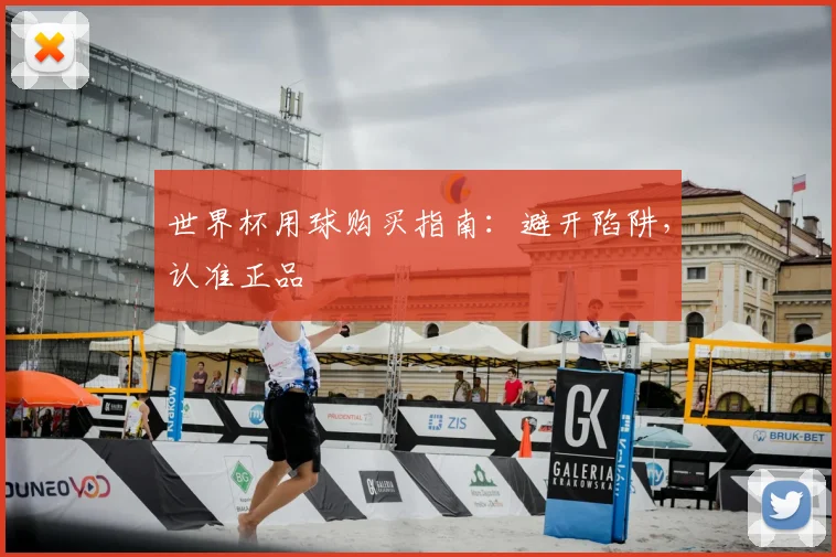 世界杯用球购买指南：避开陷阱，认准正品