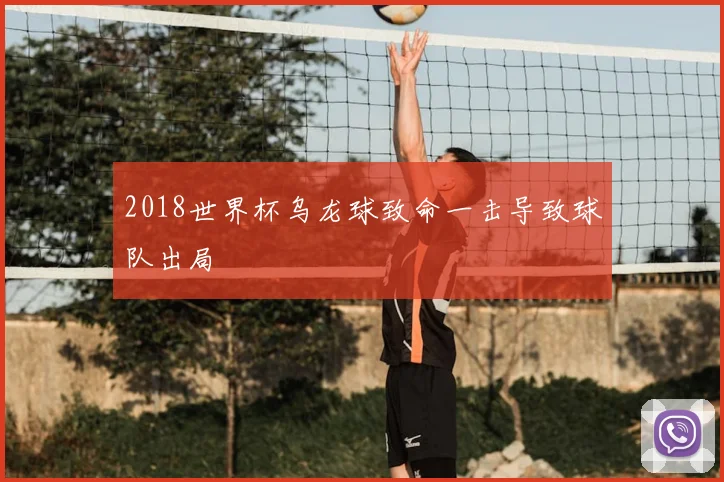 2018世界杯乌龙球致命一击导致球队出局