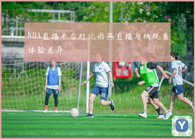 NBA直播平台对比雨燕直播与线观看体验差异