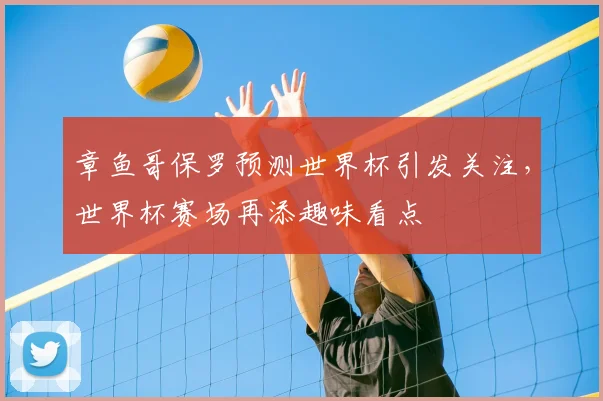 章鱼哥保罗预测世界杯引发关注，世界杯赛场再添趣味看点