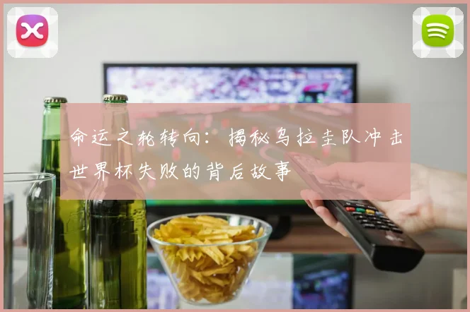 命运之轮转向：揭秘乌拉圭队冲击世界杯失败的背后故事