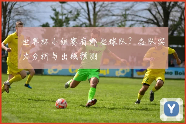 世界杯小组赛有哪些球队？各队实力分析与出线预测