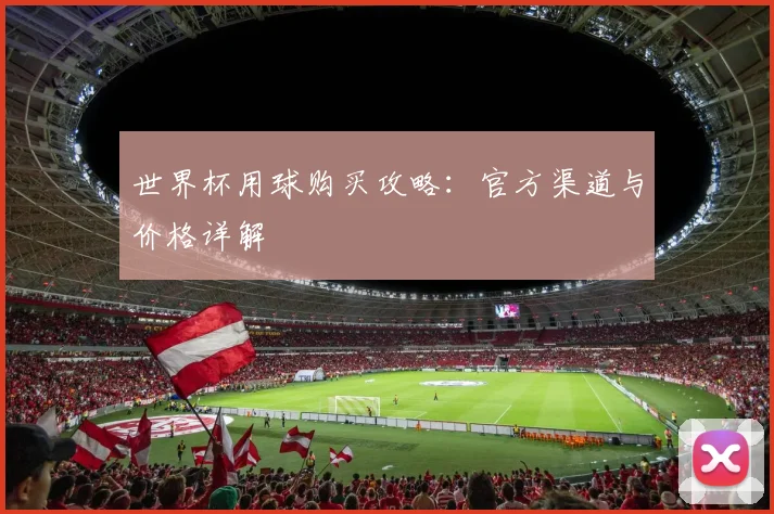 世界杯用球购买攻略:官方渠道与价格详解