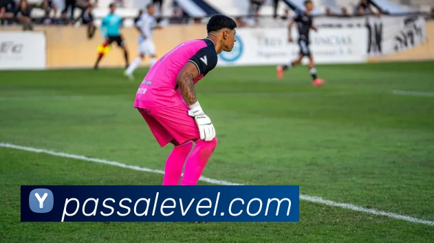 九游体育APP 封面图